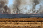 2008.07.02 - Großfeuer. Ein Getreidefeld in Schorbus abgebrannt
