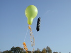 2008.10.25 - Ballonfeste