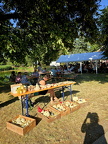 IMG-20250629-WA0120