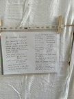 IMG-20250630-WA0005