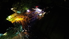 DJI 0067
