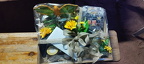 IMG-20250706-WA0063