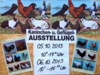 Kaninchen- und Geflügel Ausstellung