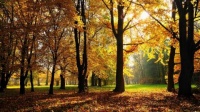 Herbstputz OT Siewisch
