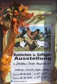 Vereinsschau des Kleintierzuchtvereines e.V. Drebkau