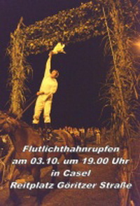 Flutlichthahnrupfen