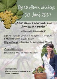 Tag des offenen Weinbergs