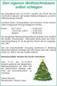 Weihnachtsbaumverkauf