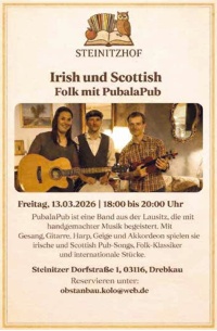 Irish und Scottish Folk mit PubalaPub