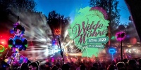 Milde Möhre - Wundertüte