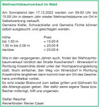 Weihnachtsbaumverkauf im Wald