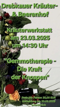 Kräuterwerkstatt: Gemmotherapie - Die Kraft der Knospen