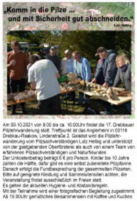 17. Drebkauer Pilzwanderung