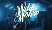 Wilde Möhre - Lusatia