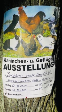 70. Jubiläumsschau
