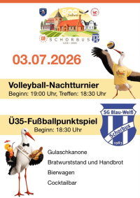 Klicken um zu vergrößern Volleyball-Nachtturnier