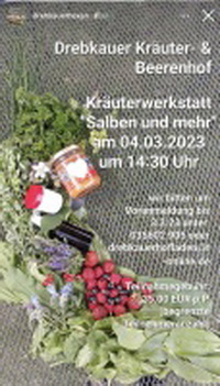 Kräuterwerkstatt Salbe selber machen