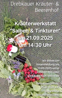 Kräuterwerkstatt: Thema - Salben und Tinkturen