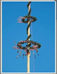 Maibaum aufstellen in Greifenhain
