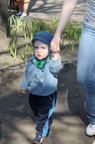IMG 7719