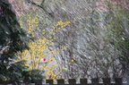 IMG 8763.JPG