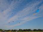 DSC05279