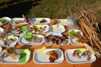DSC 4772.JPG