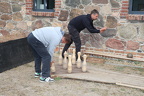 IMG 4178.JPG