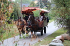IMG 3111.JPG