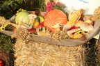 Herbstfest