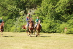 IMG 1001.JPG