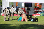 2012.09.15 - 	6. Steinitzer Mountainbiker- und Radlertage