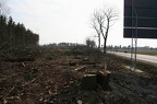 Laubster Berg 5