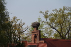 IMG 2649.JPG