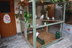 IMG 5594