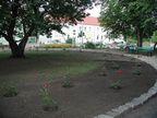 Rosengarten