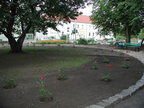 2003.07.18 - Es geht voran im Rosengarten