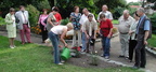 2008.10.12 - Gute Nachricht aus dem Rosengarten!