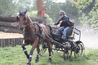 2008.08.09 - 4. Fahrturnier - Fahrsportzentrum Drebkau/Raakow