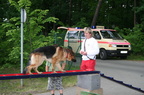 IMG 4530