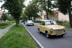 IMG 5987