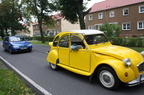 IMG 6047