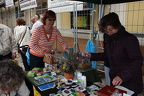 IMG 6985