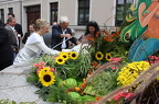 IMG 4267