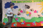 IMG 4361