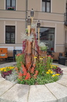 DSC 0137.JPG