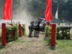 DSC03547.JPG