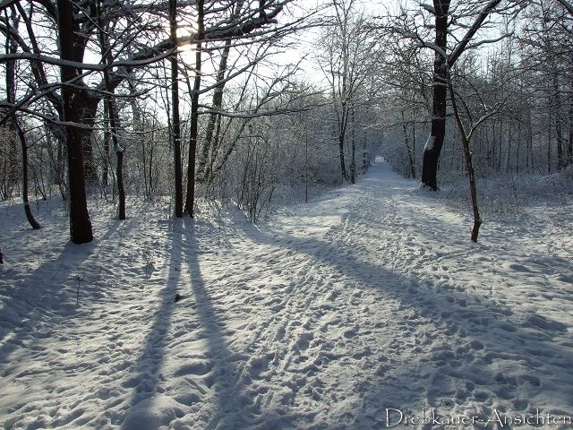 135 Winter 2010 7
