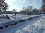 137 Winter 2010 9