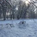 131 Winter 2010 3